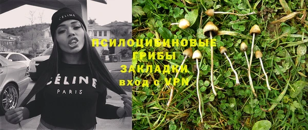 ALPHA PVP Семёнов