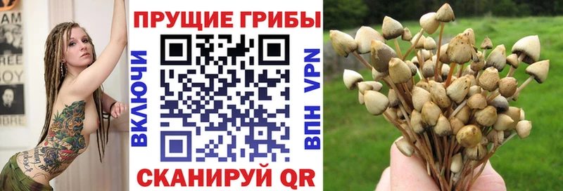 цена   Белебей  Галлюциногенные грибы MAGIC MUSHROOMS 